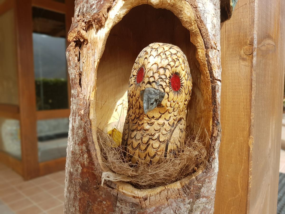 Le Chalet Del Pollino Rotonda Ngoại thất bức ảnh