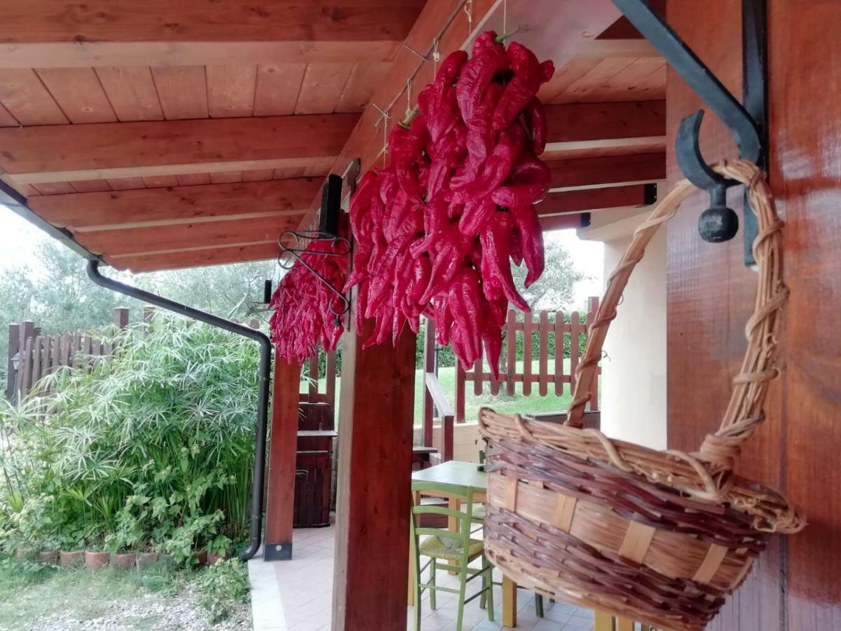 Le Chalet Del Pollino Rotonda Ngoại thất bức ảnh