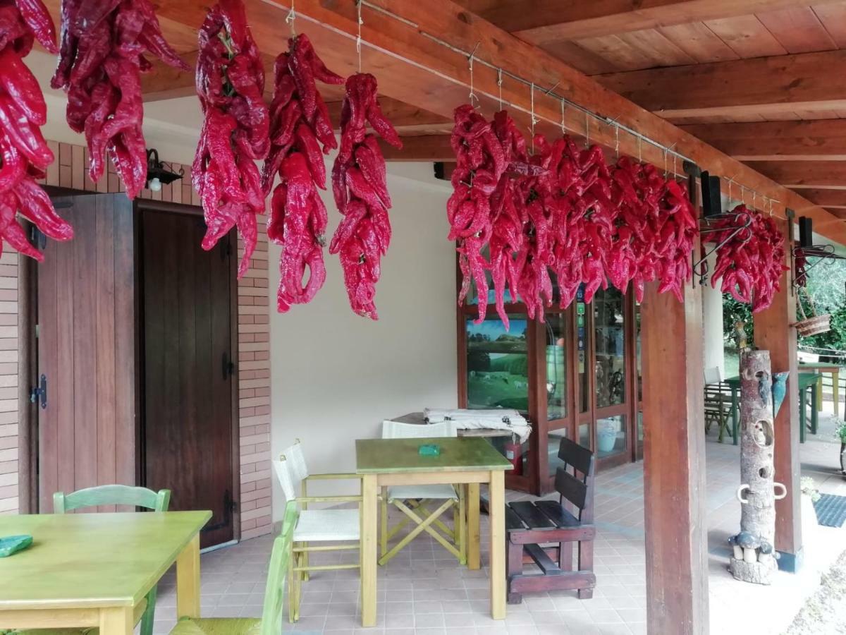 Le Chalet Del Pollino Rotonda Ngoại thất bức ảnh